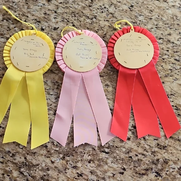 3 Vintage 1965 American Saddle Bred Tennessee Walker horse show rosettes ribbons - Picture 2 of 14